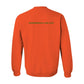 back_62